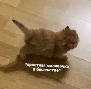 Стикер Избранные • @sticbot - 6