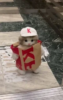 Стикер Избранные • @sticbot - 3