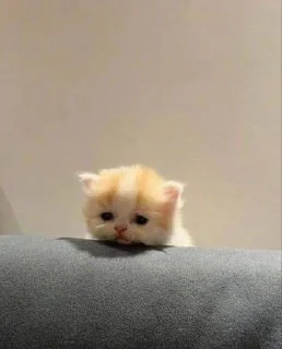 Стикер Избранные • @sticbot - 1