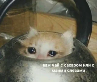 Стикер Избранные • @sticbot - 4