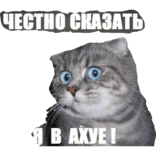 Стикер Opapa123 - 1