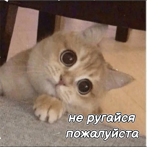 Sticker Opapa123 - 1