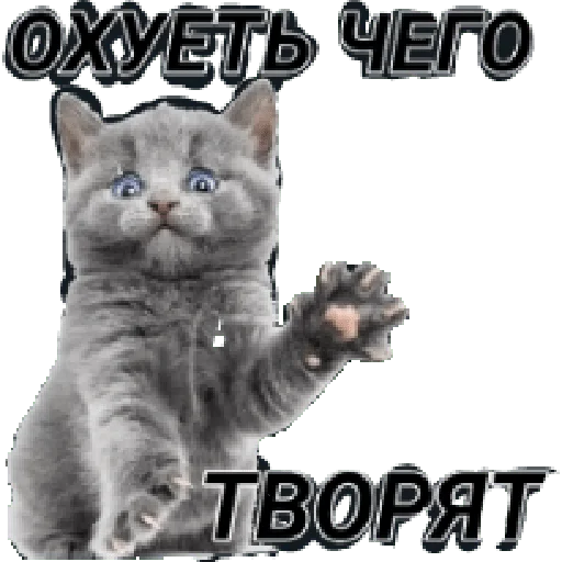 Sticker Opapa123 - 1