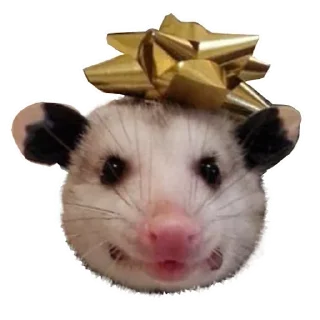 Стикер Opossum Coming - 6