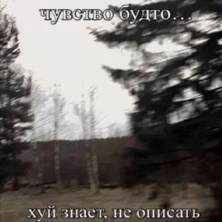 Стикер nekon4an - 5