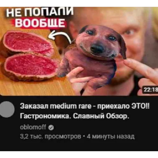 СМС животное собака