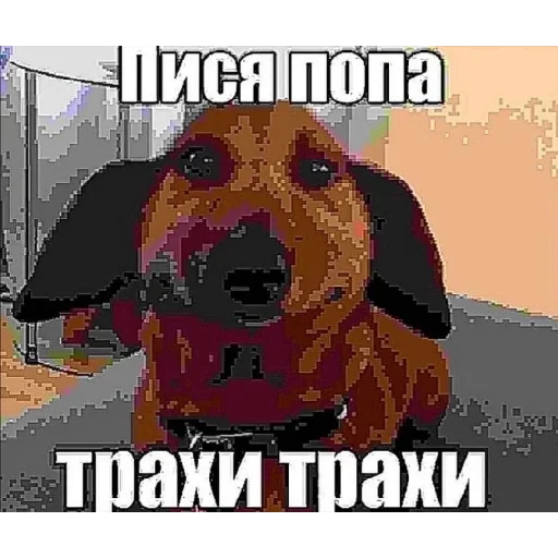 text poster graphic design