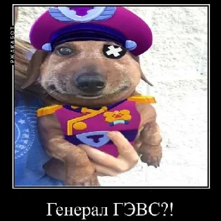 Sticker Опухшая собака - 10