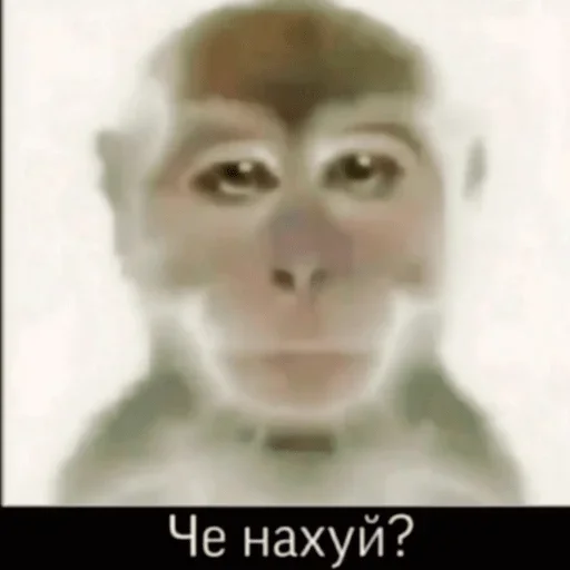 Опико - @Tg_stickersu - 