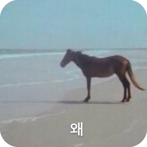 Sticker OrehovyjStikerpak - 1