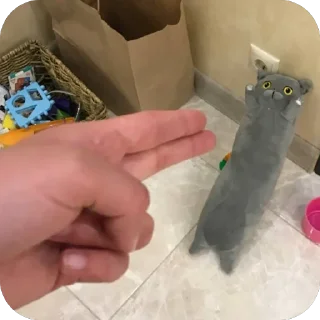 Sticker ореховый стикерпак - 7