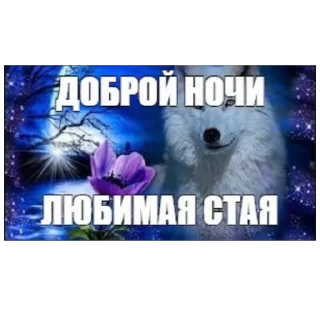 Sticker ореховый стикерпак - 4