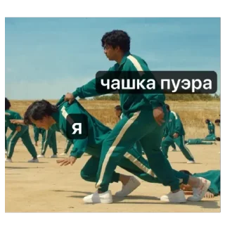 Sticker ореховый стикерпак - 2