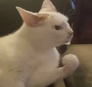 Стикер Раки 🦞 - 7