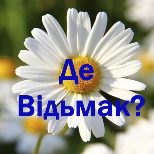 Стикер Orgazmchat - 1