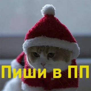 Sticker Чат 69 оргазмів - 3