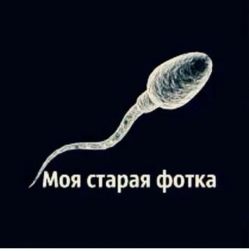 Sticker минетик :: @fStikBot - 1