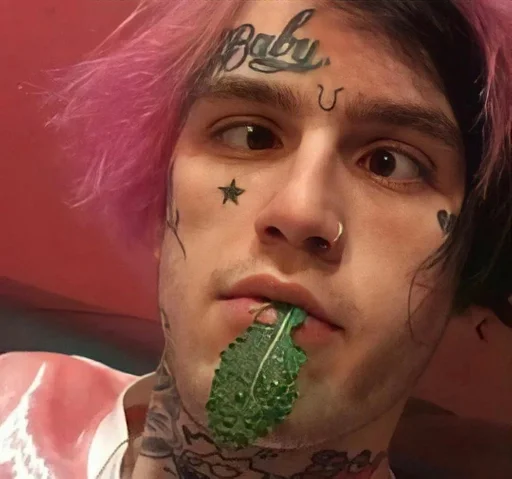 минетик :: @fStikBot - 