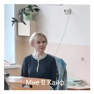 Стикер Оргия "Гимназия N 1" - 10