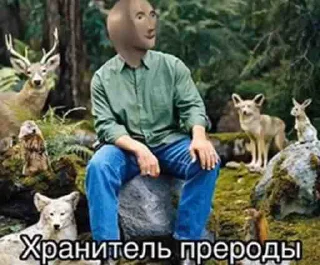 Sticker Орестократки - 6