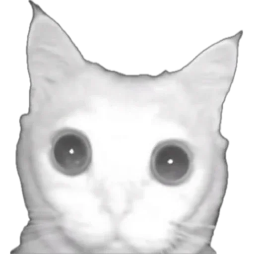 Стикер Oritus - 1