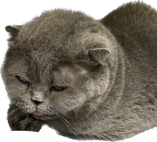 Стикер Oritus - 1