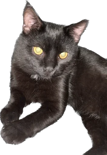 Sticker Orochimaruu - 1