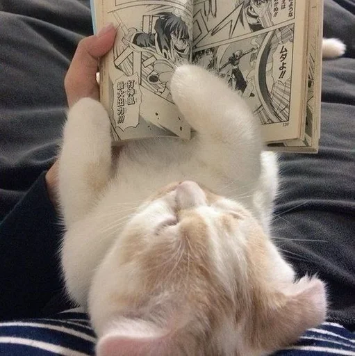 Sticker OryxAbhorLakin_by_fStikBot - 1