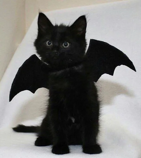 Sticker OryxAbhorLakin_by_fStikBot - 1