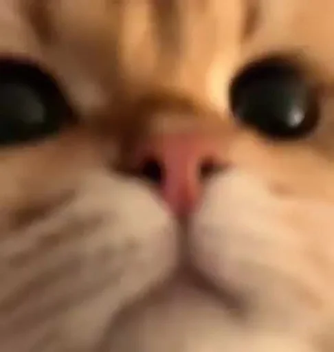 Sticker OryxAbhorLakin_by_fStikBot - 1