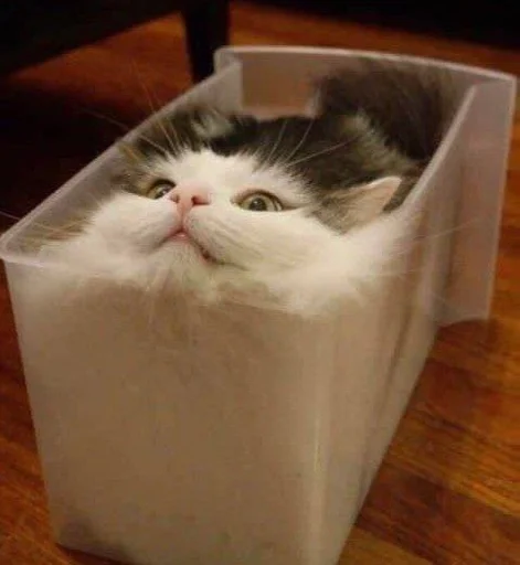 Стикер мяу ;; @ww_help :: @fStikBot - 9