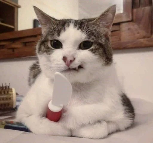 Стикер мяу ;; @ww_help :: @fStikBot - 8