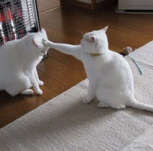 Стикер мяу ;; @ww_help :: @fStikBot - 1