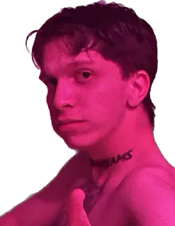 Стикер Ослы - 8