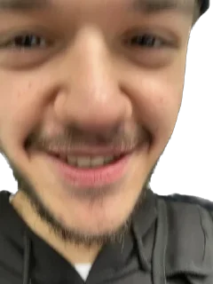 Стикер Ослы - 7