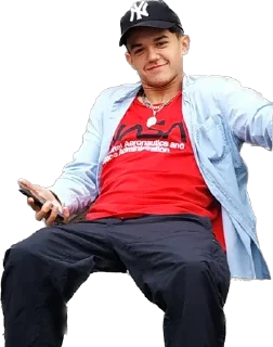 Стикер Ослы - 10