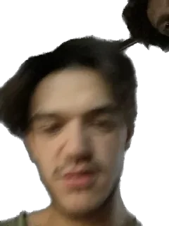 Стикер Ослы - 0