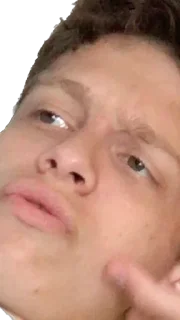 Стикер Ослы - 9