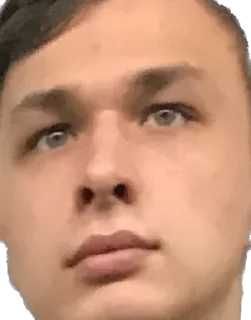 Стикер Ослы - 4