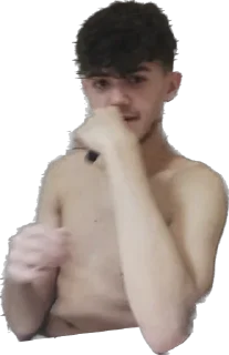 Стикер Ослы - 6