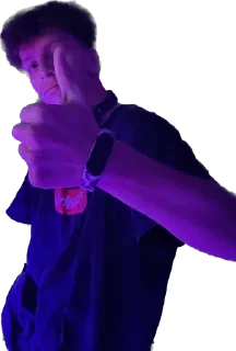 Стикер Ослы - 5