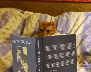 Sticker Элитный 3й взвод😏 - 8