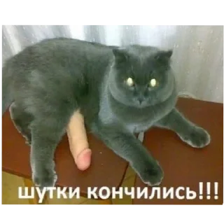 Sticker OstrovTSY - 8