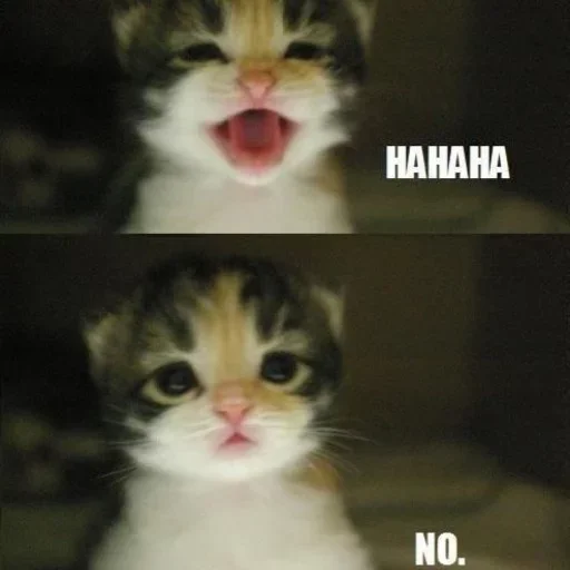 Sticker OtAnyaa_by_fStikBot - 1