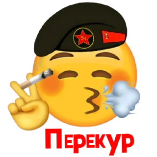 Sticker от БМП•NN🤙ДЖАМБО🫡AlexthesonofPaul - 6