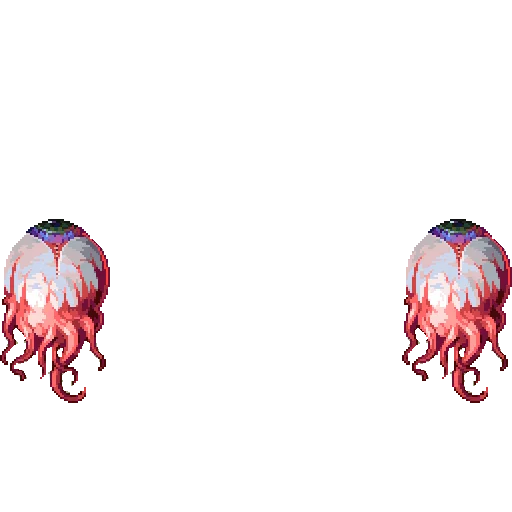 animal invertebrate marine invertebrates