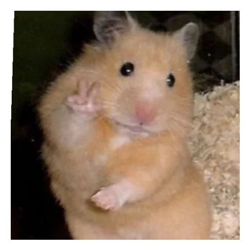 Sticker Ot_MiLaNkI - 1