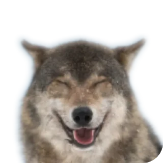 Стикер Кринге ня - 9