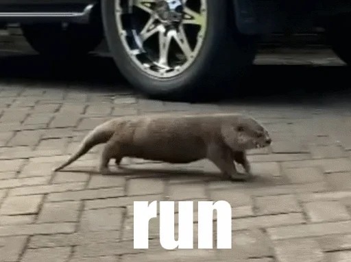 Sticker @vidromemi Otter Marson - 1