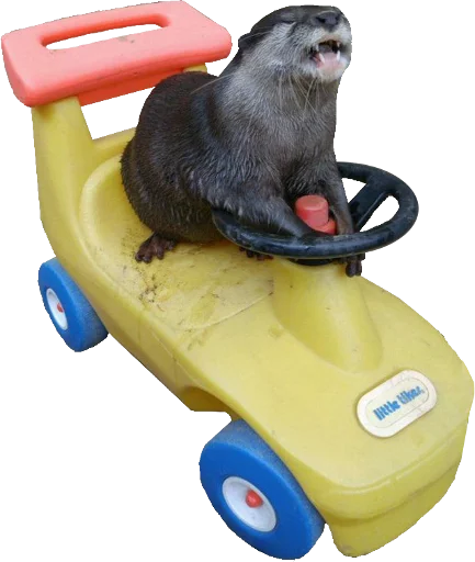 млекопитающее животное жёлтый